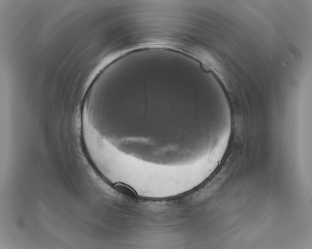 X0000110951428200907171619