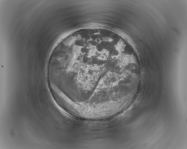 X0000110951429200907171619
