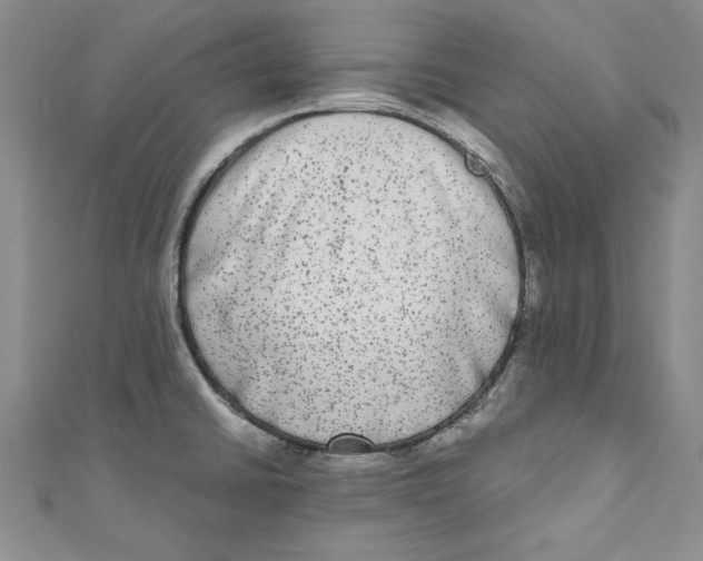X0000110951430200907171619