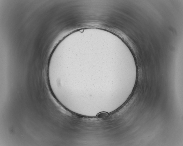 X0000110951432200907171619