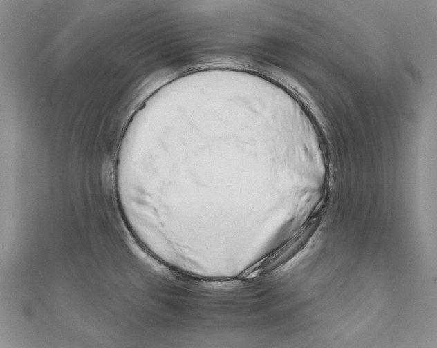 X0000110951433200907171619