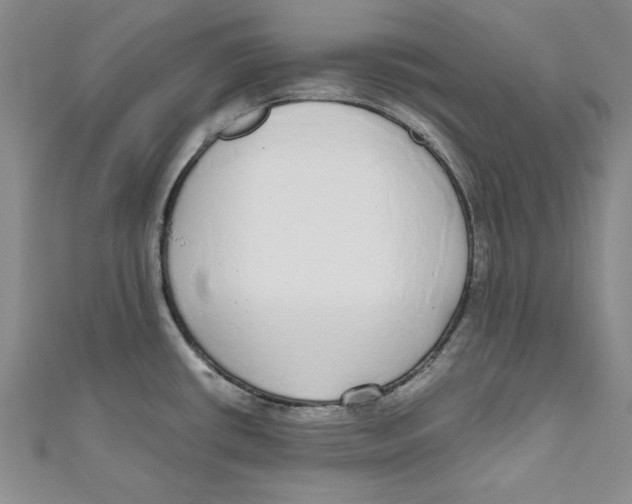 X0000110951434200907171619