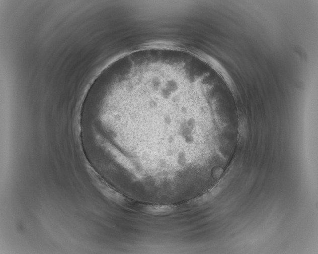X0000110951435200907171619