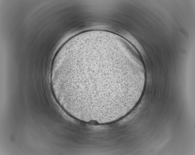 X0000110951436200907171619