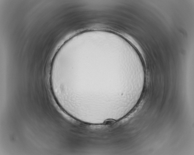 X0000110951437200907171619