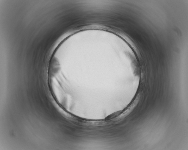 X0000110951438200907171619