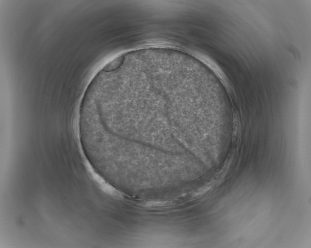 X0000110951439200907171619