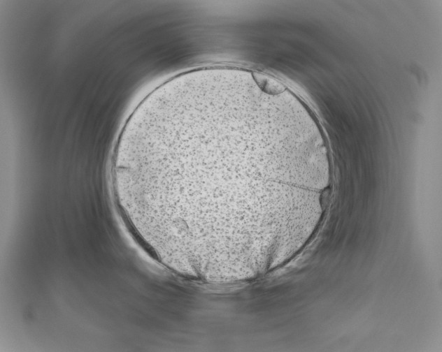 X0000110951440200907171619