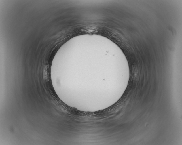 X0000110951442200907171618