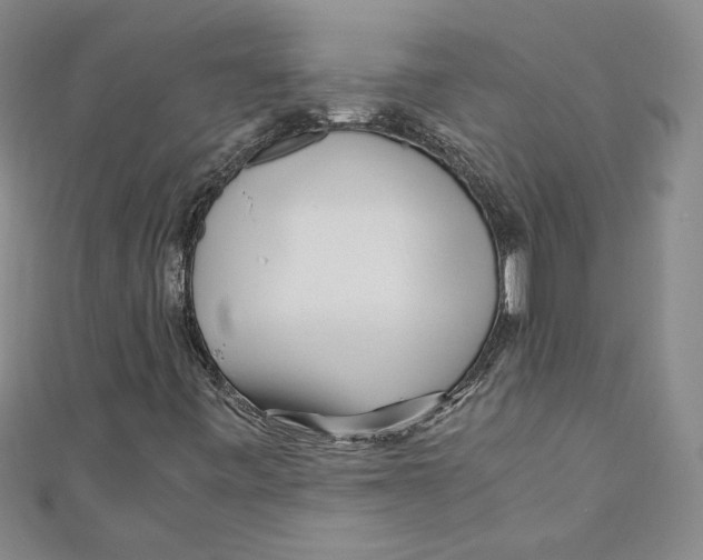 X0000110951443200907171618