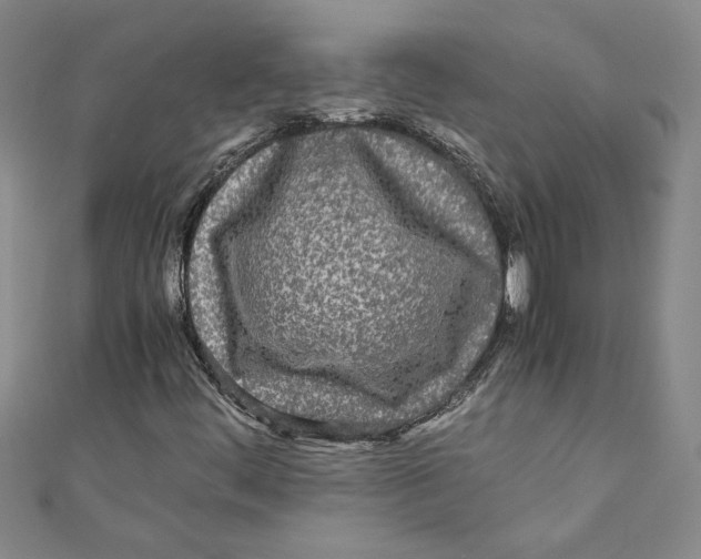 X0000110951444200907171618