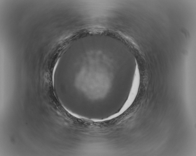 X0000110951445200907171618