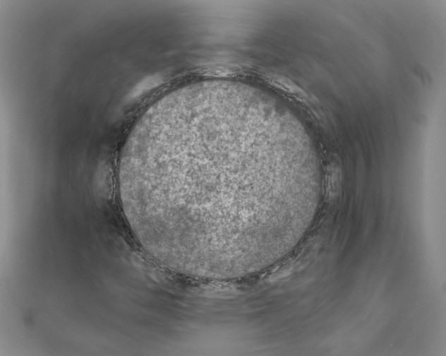 X0000110951446200907171618