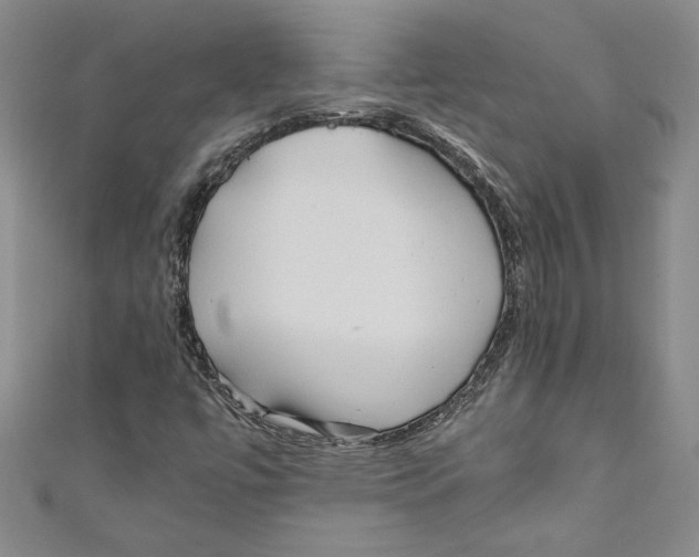 X0000110951447200907171618