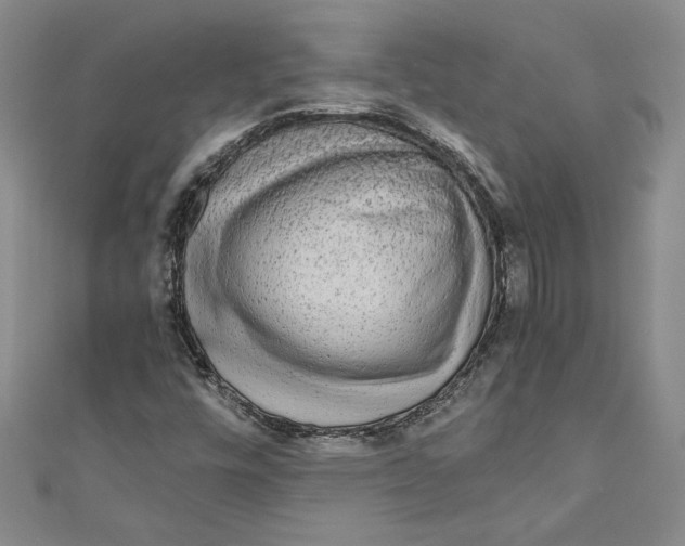 X0000110951448200907171618