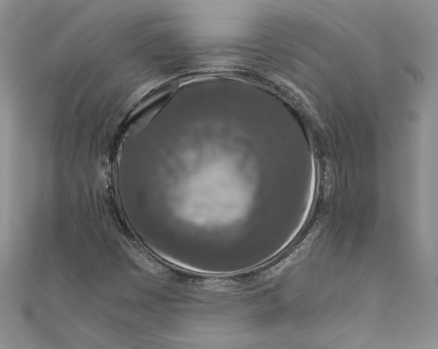 X0000110951449200907171618