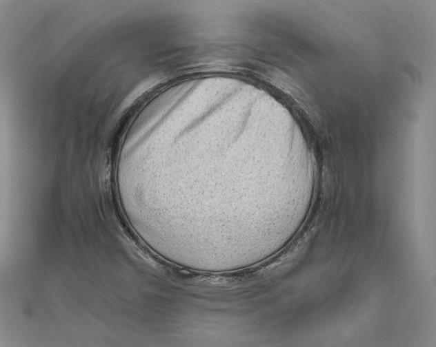 X0000110951450200907171618