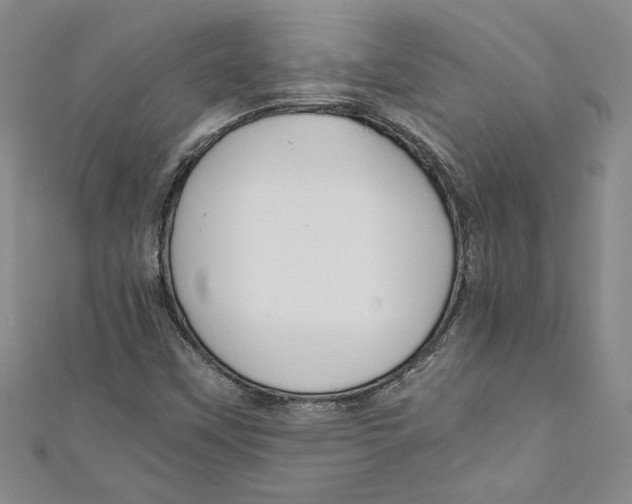 X0000110951451200907171618