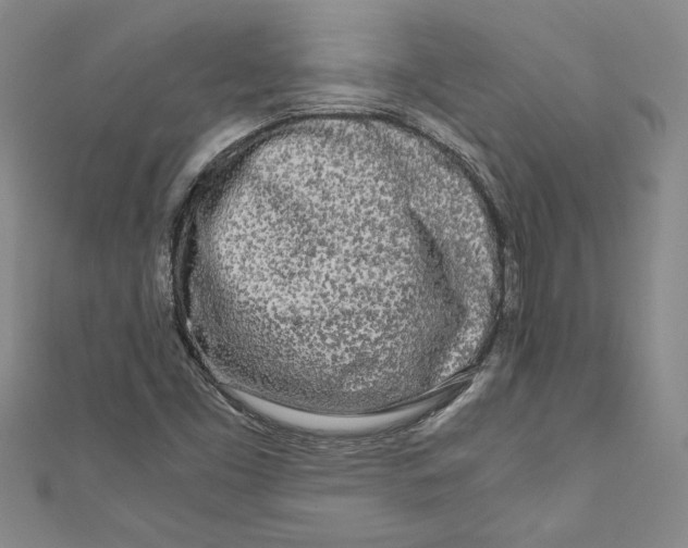 X0000110951453200907171618
