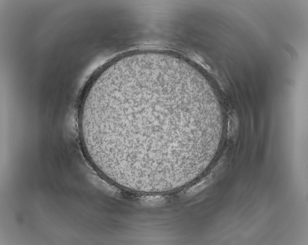 X0000110951454200907171618