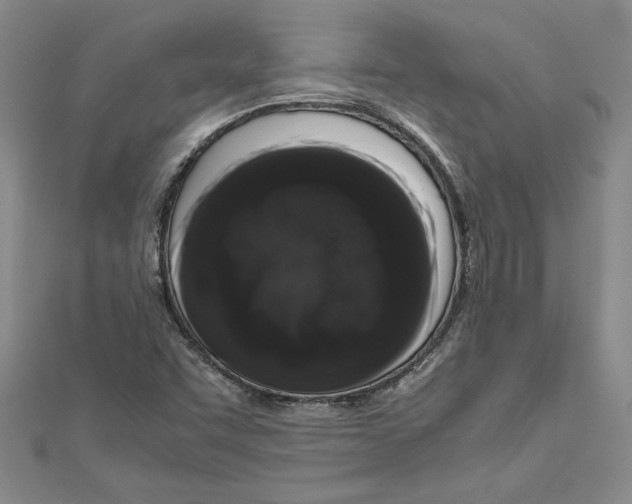 X0000110951455200907171618