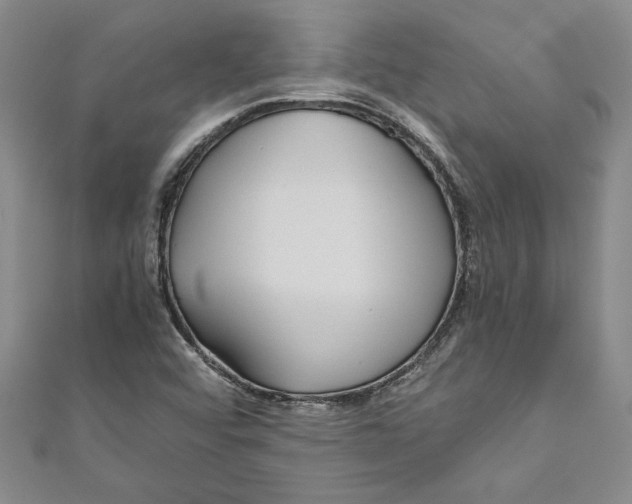 X0000110951456200907171618