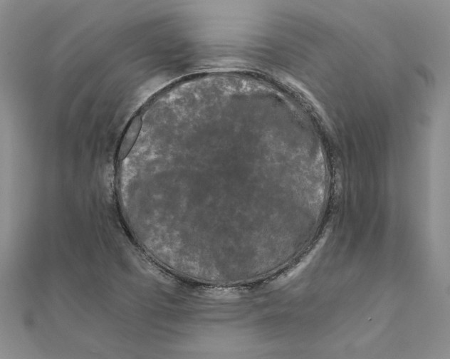 X0000110951457200907171618