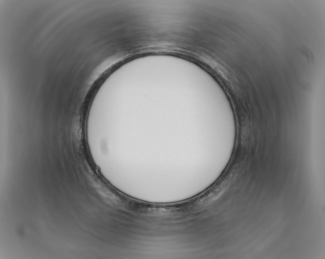 X0000110951458200907171618