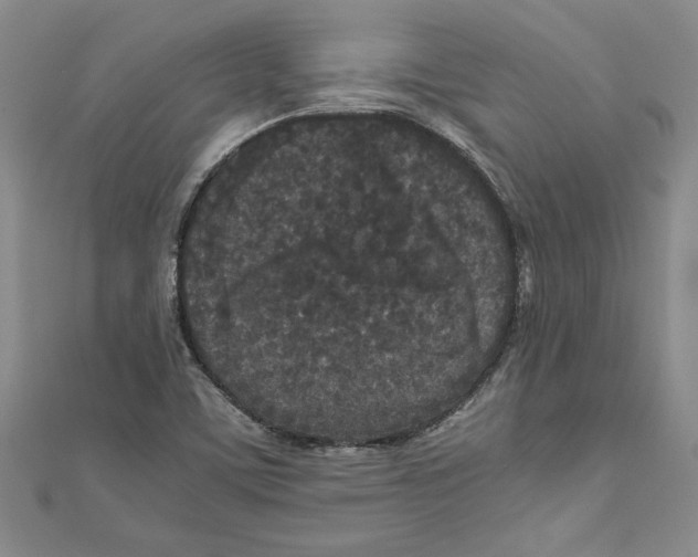 X0000110951459200907171618