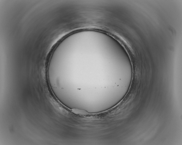 X0000110951460200907171618