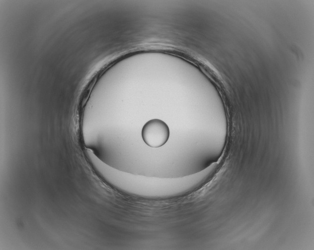 X0000110951461200907171618