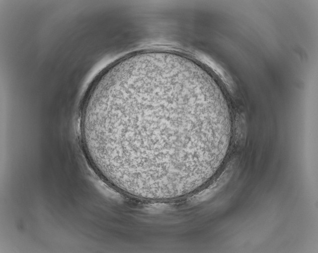 X0000110951462200907171618