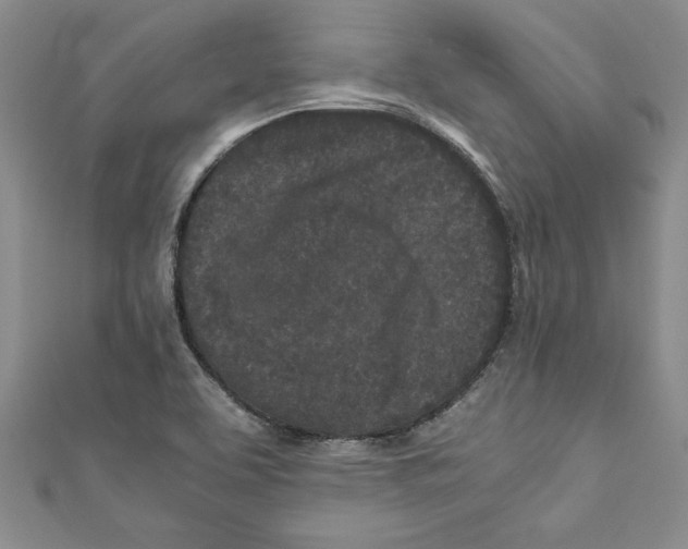 X0000110951463200907171618