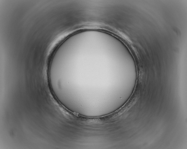 X0000110951464200907171618