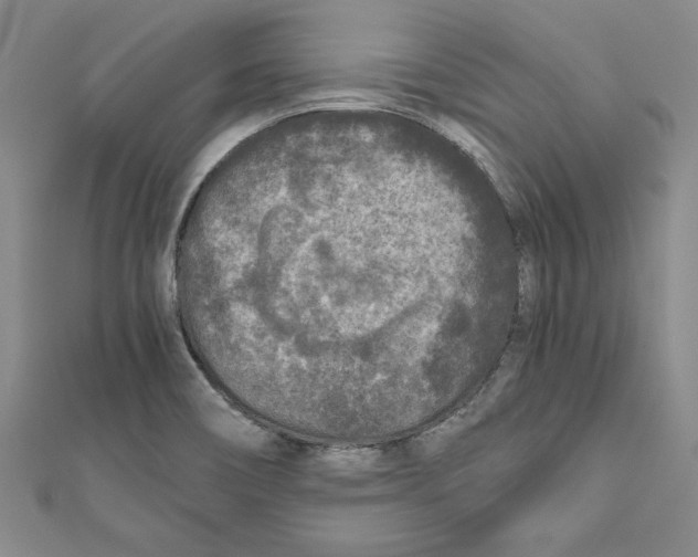 X0000110951466200907171618