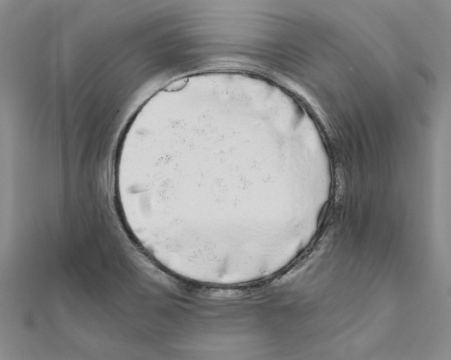 X0000110951467200907171618