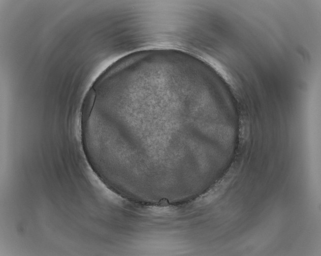 X0000110951468200907171618