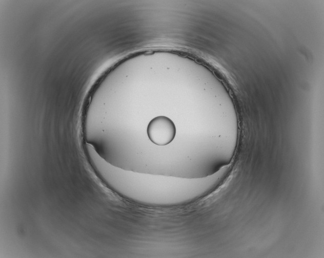 X0000110951469200907171618