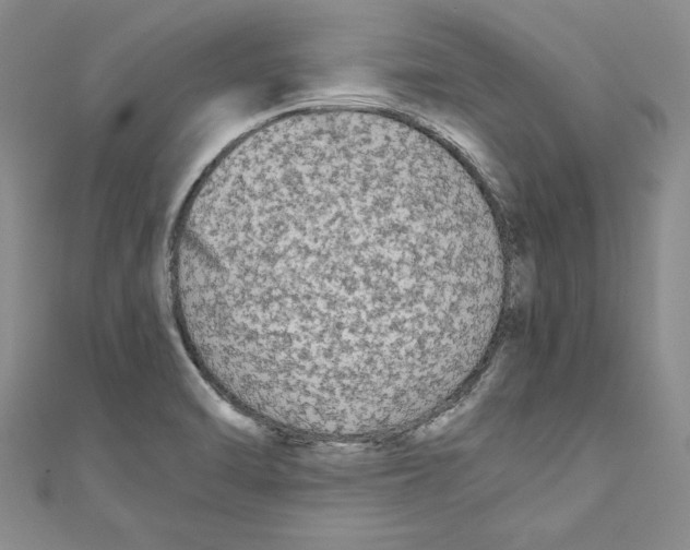 X0000110951470200907171618