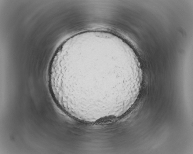 X0000110951471200907171618