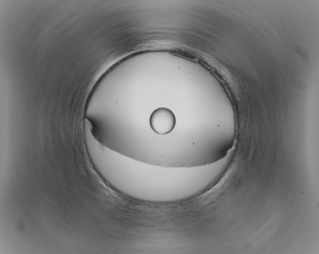X0000110951473200907171618