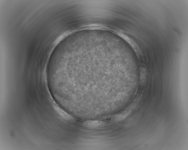X0000110951474200907171618