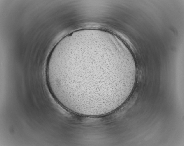 X0000110951475200907171618