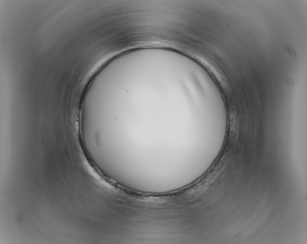 X0000110951476200907171618