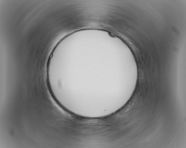 X0000110951479200907171618