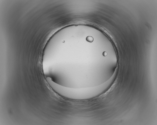X0000110951481200907171618