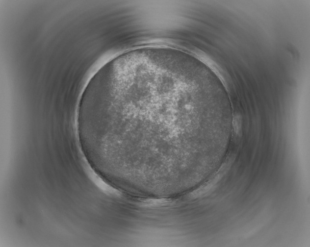 X0000110951482200907171618