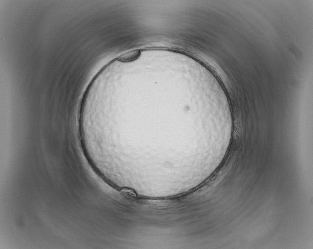 X0000110951483200907171618