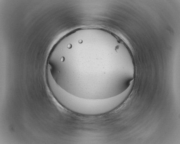 X0000110951485200907171618