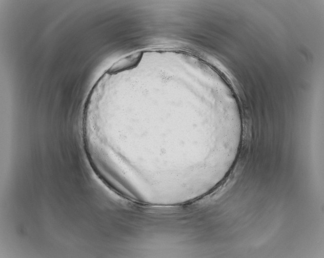 X0000110951487200907171618